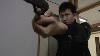 交警爆料歹徒视频播放,歹徒作案视频,全民助力抓捕 第2张 交警爆料歹徒视频播放,歹徒作案视频,全民助力抓捕 第2张